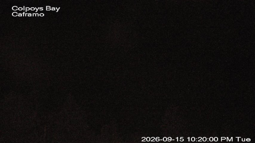 Live camera feed from Caframo in Georgian Bluffs, Ontario, Canada