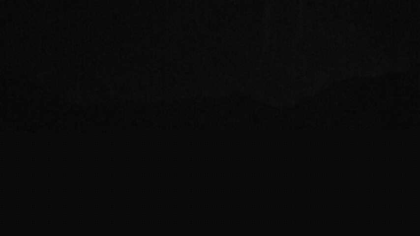 Damüls, Alpenstern Panoramahotel Image