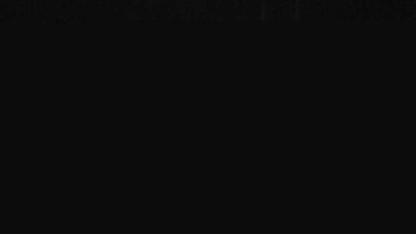 Damüls, Alpenstern Panoramahotel Image