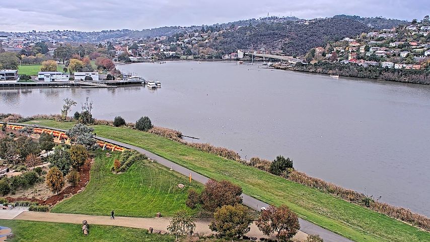 Tamar Estuary Image