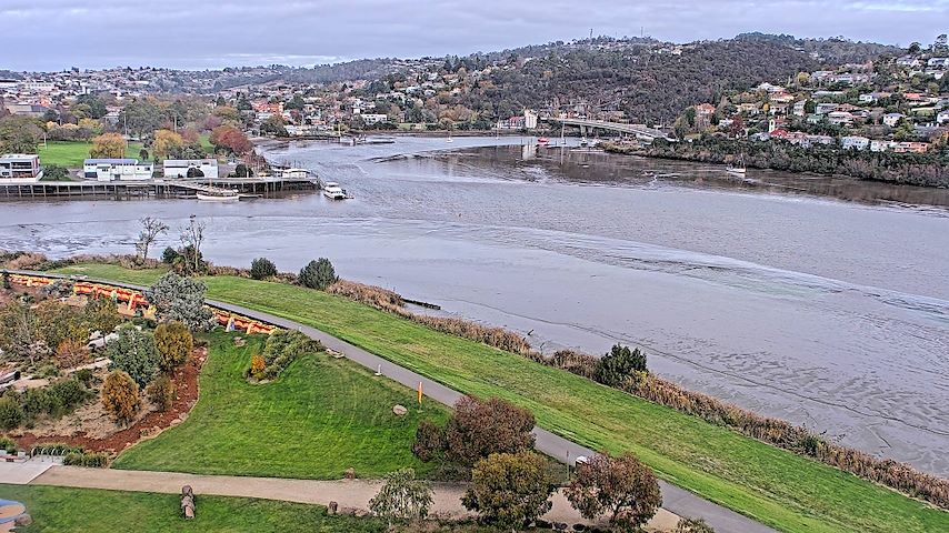 Tamar Estuary Image