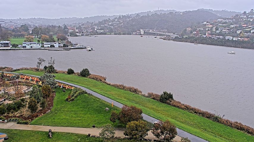 Tamar Estuary Image