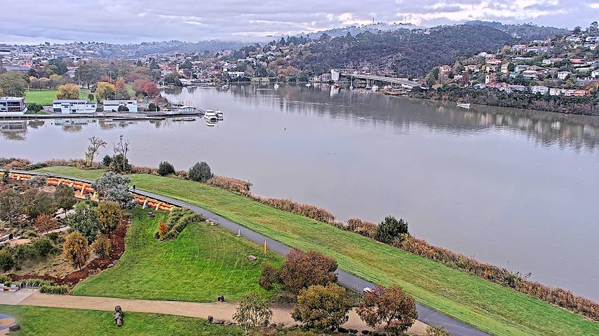 Tamar Estuary Image