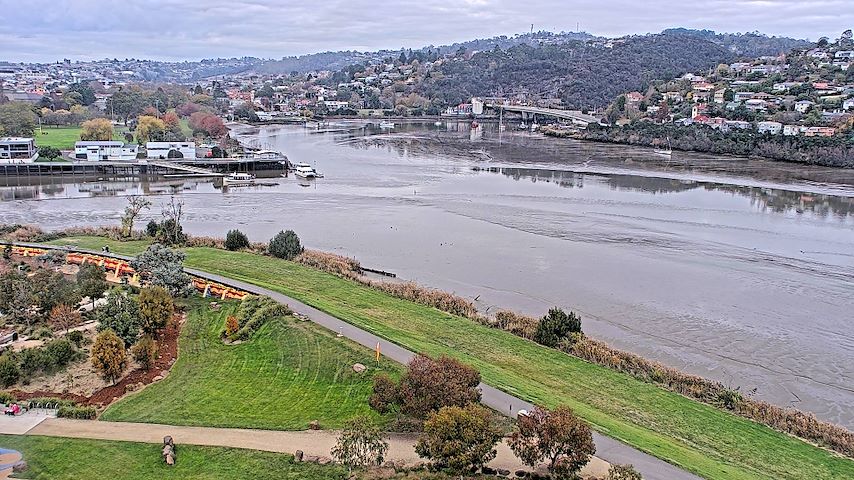 Tamar Estuary Image