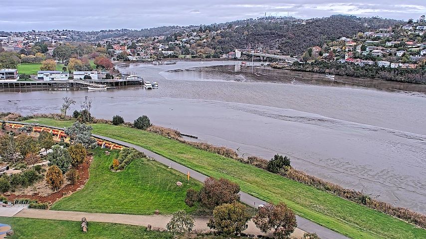 Tamar Estuary Image