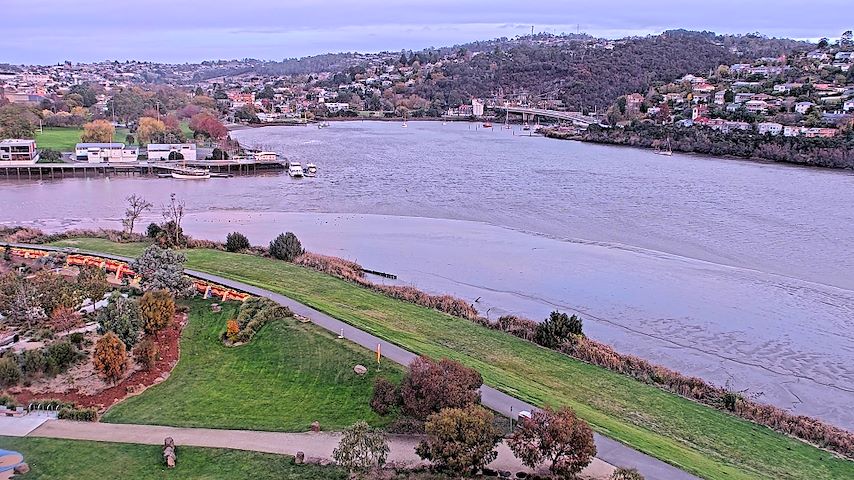 Tamar Estuary Image
