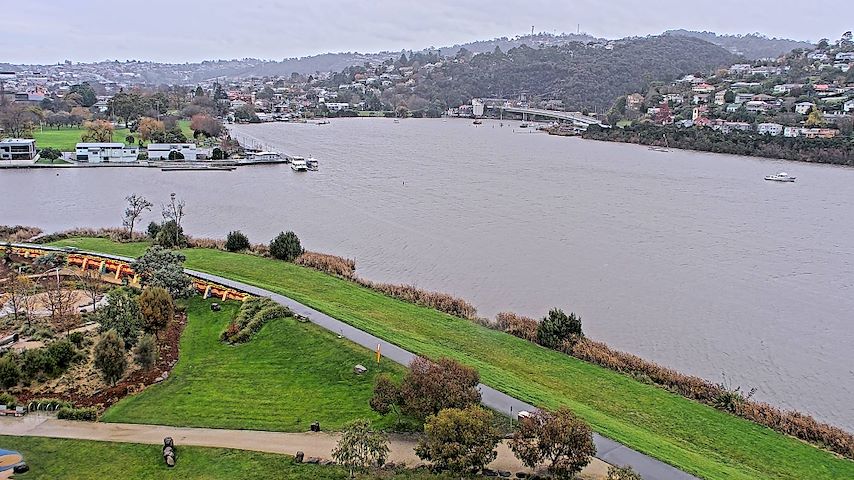 Tamar Estuary Image