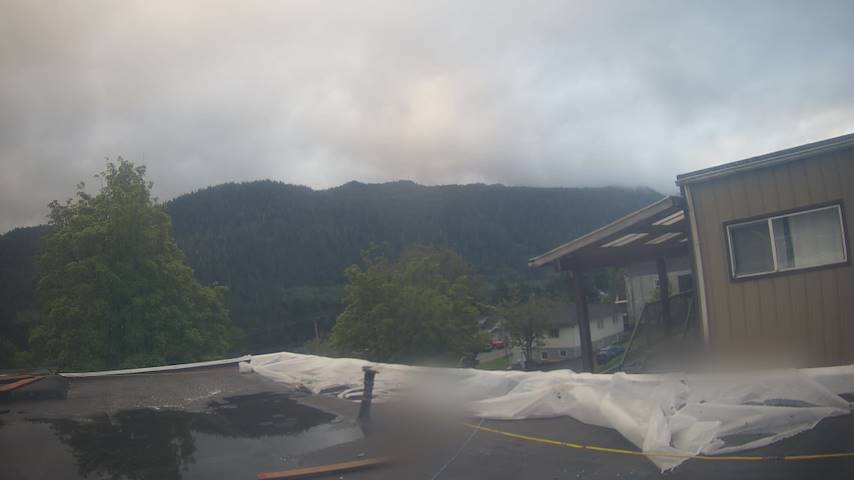 Mt. Hayes Image