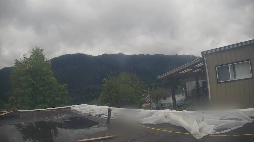 Mt. Hayes Image