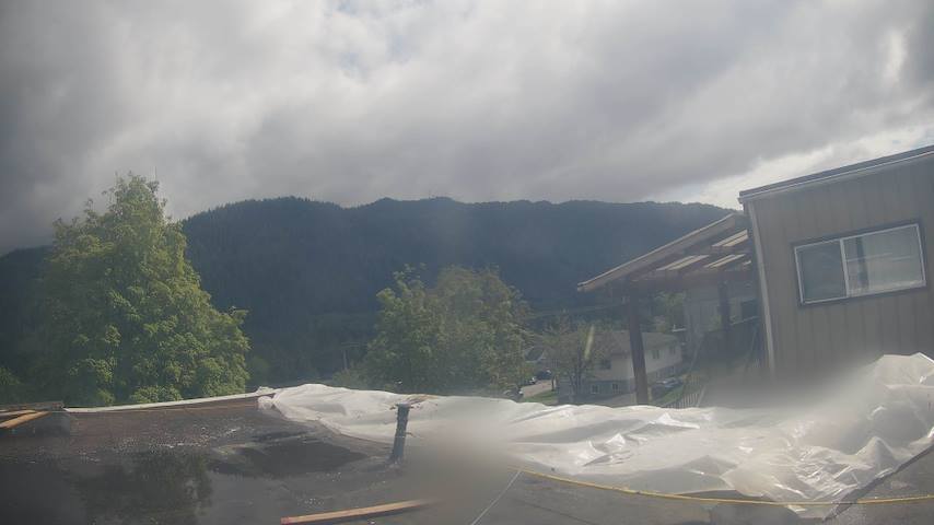 Mt. Hayes Image