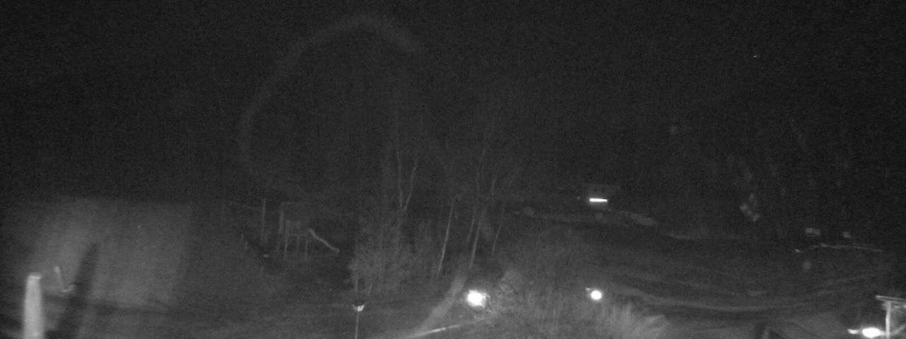 Bergrestaurant Gfellen, Finsterwald Image